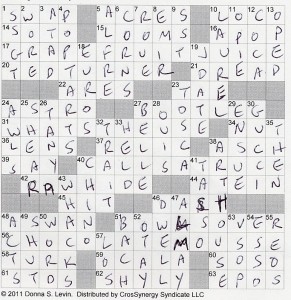 cs 1/4/11 crossword answers
