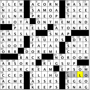 CrosSynergy / Washington Post crossword solution - 01/21/14