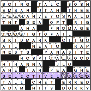 Ink Well / Chicago Reader crossword solution, 4 23 14 "Converse Shoes"