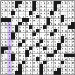 Merl Reagle crossword solution, 11 30 14 "Advanced Placement Test"