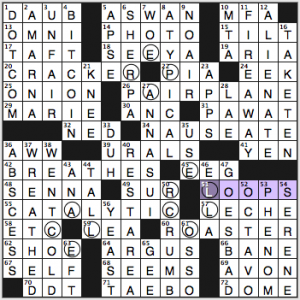 NY Times crossword solution, 2 19 15, no. 0219
