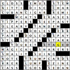 CrosSynergy/Washington Post crossword solution, 04.06.15: "Playing with the Rich and Famous"