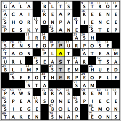 CrosSynergy/Washington Post crossword solution, 04.08.15: "It's the Norm"