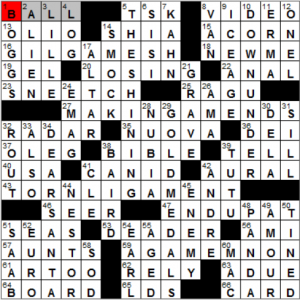 NY Times crossword solution, 11 4 15, no 1104