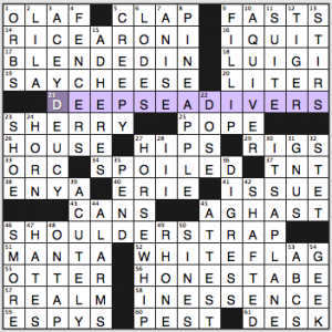 NY Times crossword solution, 11 13 15, no 1113