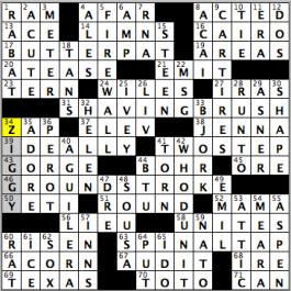 CrosSynergy/Washington Post crossword solution, 12.11.15: "Finishing Touches"