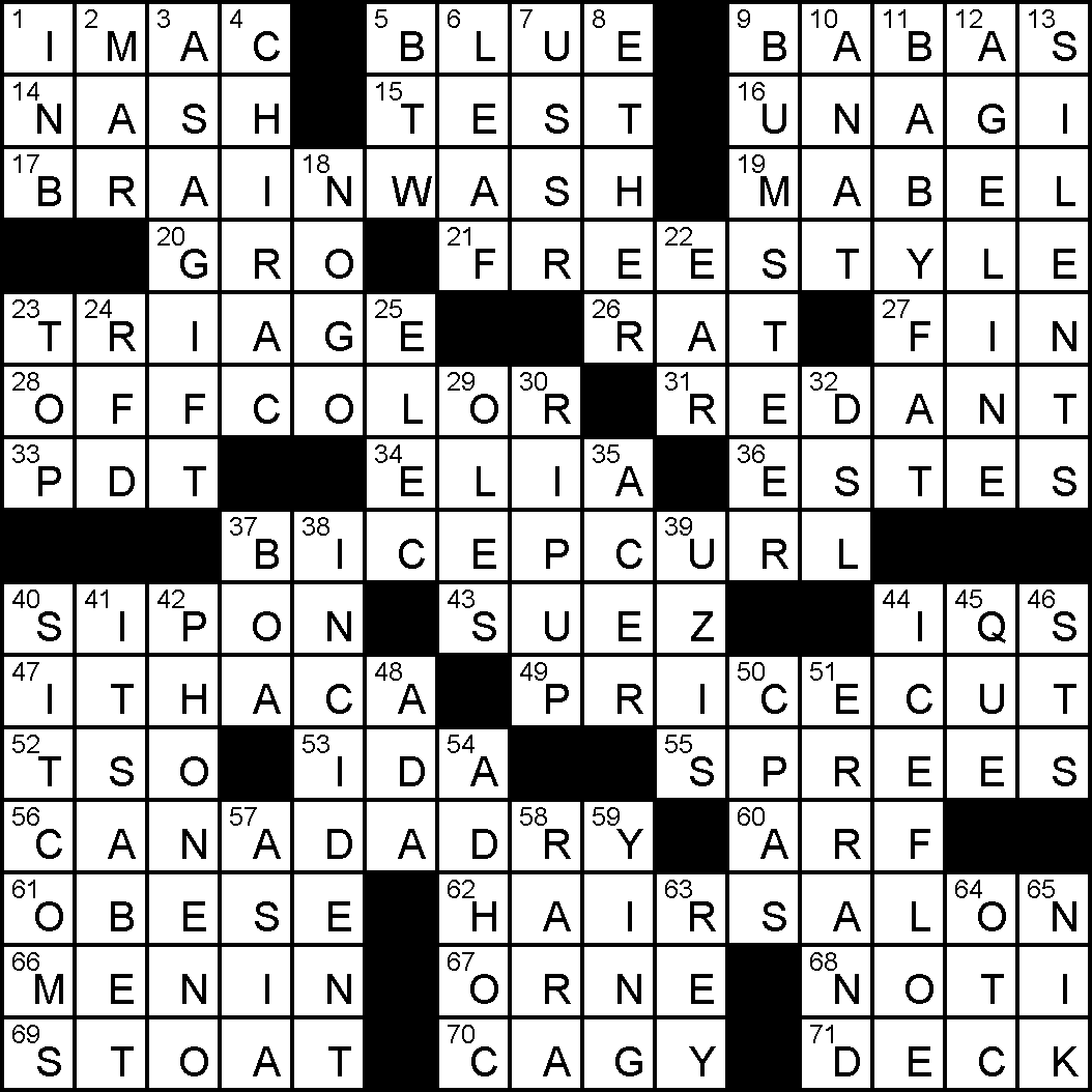 Writer levin crossword clue